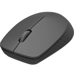 Rapoo M100 1000 Dpi Siyah Kablosuz Sessiz Mouse [18199]