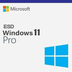 Microsoft Windows 11 Pro Tr/Eng Elektronik Lisans Esd [Fqc-10572]